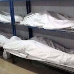 2728211-deadbodies-1729412928-600x450.webp.webp