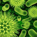 336063-Influenzavirus-1426101592-600x450.webp.webp