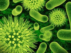 336063-Influenzavirus-1426101592-600x450.webp.webp