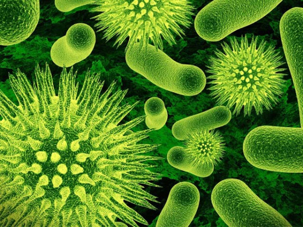 336063-Influenzavirus-1426101592-600x450.webp.webp