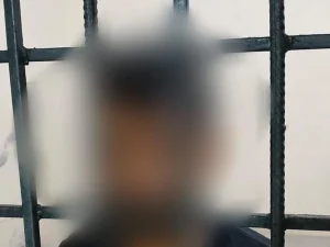 accused-arrest1784533204-0-600x450.webp.webp