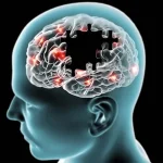 alz1781288484-0-600x450.webp.webp