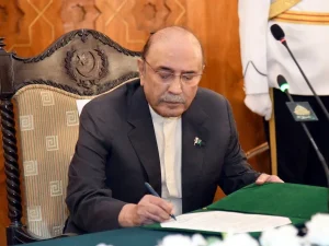 asifzardari1763034900-0-600x450.webp.webp