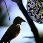 bird-flu-virus1785193673-0-600x450.webp.webp