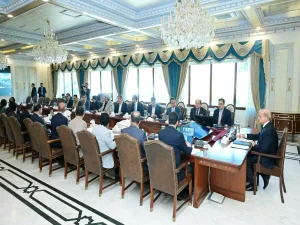 cabinetmeeting1731965253-0-600x450.webp.webp