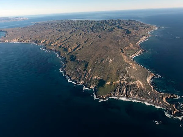 cali1783798102-0-600x450.webp.webp