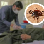congo-fever1743763792-0-600x450.webp.webp