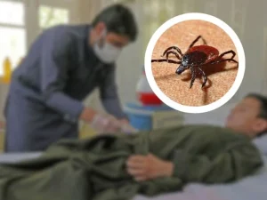 congo-fever1743763792-0-600x450.webp.webp