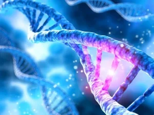 exploiting-genetics-to-improve-cancer-diagnosis-an1758863528-0-600x450.webp.webp