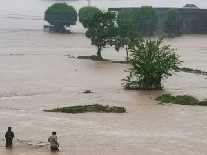 flood-in-punjab-20251756684063-0-600x450.webp.webp