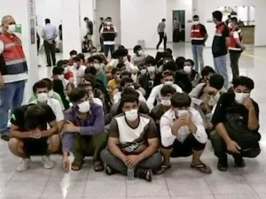 illegal-afghan-crack-down1783573240-0-600x450.webp.webp