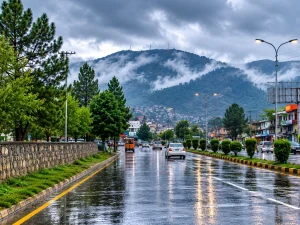 kp-rain1784010873-0-600x450.webp.webp