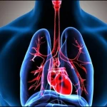 omega3-and-lungs1784374251-5-600x450.webp.webp