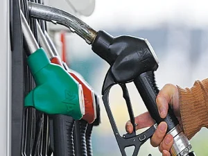 petroleum1733270931-0-600x450.webp.webp
