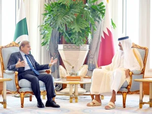 shehbaz-sharif-with-ameer-e-qatar-shaikh-tameem-bi1783934846-0-600x450.webp.webp