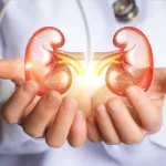someone-holding-kidneys1744457563-0-600x450.webp.webp
