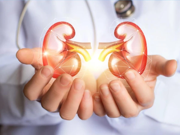 someone-holding-kidneys1744457563-0-600x450.webp.webp