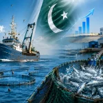 umer-2026-07-16t215017-2971784264340-0-600x450.webp.webp
