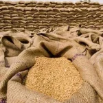 wheat-quota1767647120-0-600x450.webp.webp
