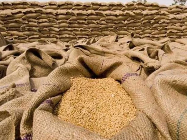 wheat-quota1767647120-0-600x450.webp.webp