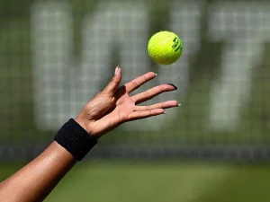 wta1784629225-0-600x450.webp.webp