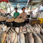 2683170-seafoodmarket-1723306075-600x450.webp.webp