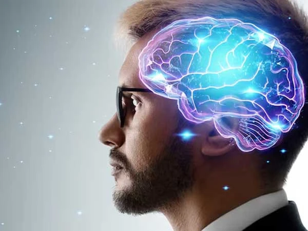 brain1762983808-0-600x450.webp.webp