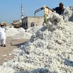 cotton-rate-high1736472286-0-600x450.webp.webp