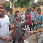 donkey-race1786870053-0-600x450.webp.webp