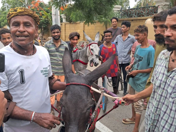 donkey-race1786870053-0-600x450.webp.webp