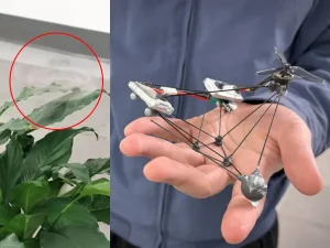 drone1785941151-0-600x450.webp.webp