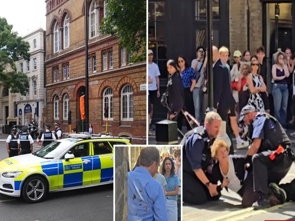 female-attack-london-injured-41785946442-0-600x450.webp.webp