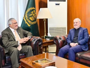 iran-ambassador-met-ishaq-dar1786528856-0-600x450.webp.webp