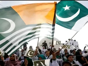 kashmir-day1785905516-0-600x450.webp.webp