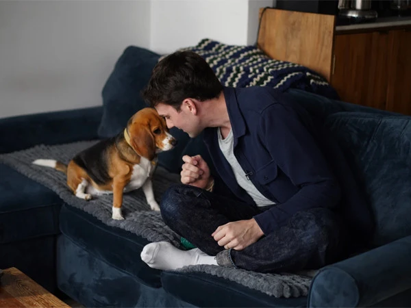 kutta1786122269-0-600x450.webp.webp