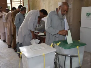 local-government-election1758676967-0-600x450.webp.webp