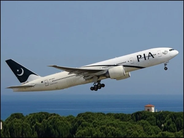 pia1735804583-0-600x450.webp.webp