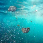 plastic1785781835-0-600x450.webp.webp