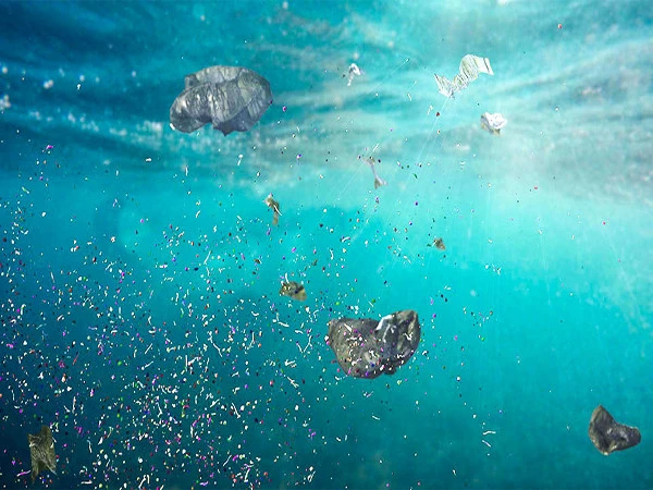 plastic1785781835-0-600x450.webp.webp
