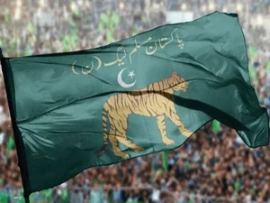 pmln1781889145-0-600x450.webp.webp