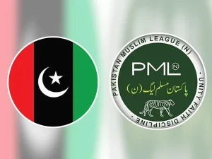 ppp-pmln1760610821-0-600x450.webp.webp