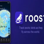roost1787417859-0-600x450.webp.webp