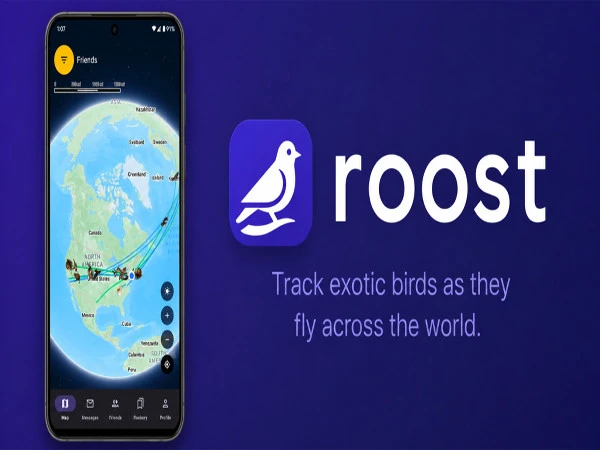 roost1787417859-0-600x450.webp.webp