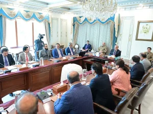 shehbaz-sharif-fbr-meeting1786434644-0-600x450.webp.webp
