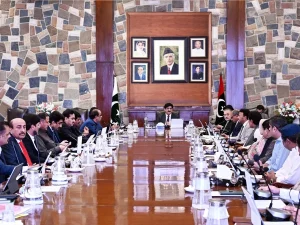 sindh-cabinet1763653351-0-600x450.webp.webp
