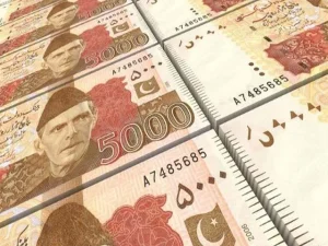 six-months-loan1740268878-0-600x450.webp.webp