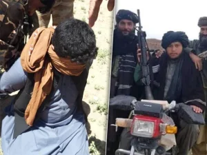 taliban-arrest-two-staff-of-uno-in-afghanistan1786565210-0-600x450.webp.webp