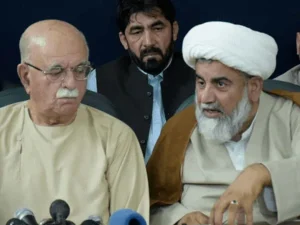 tehreek-tahaffuz-pakistan1763374902-0-600x450.webp.webp