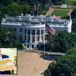 trump-to-renovate-white-house1786636108-0-600x450.webp.webp