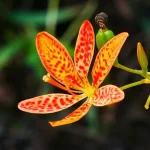 untitled1786436001-0-600x450.webp.webp